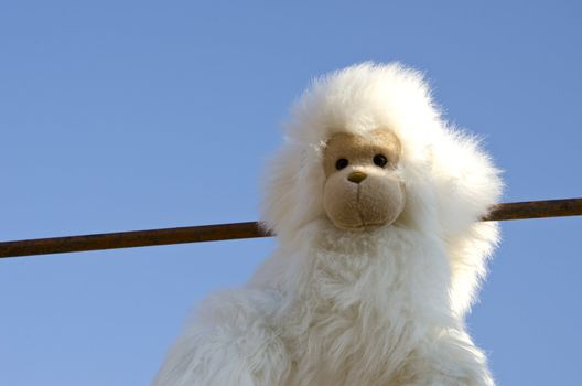 Bushy white plush monkey doll on background of blue sky