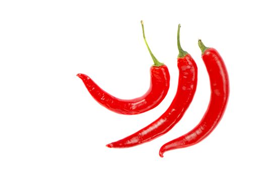 Three thin elongated hot red chili peppers isolated on white background.