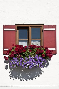 Typical Bavarian Window With Open Wooden Shutters, Decorated With Fresh Flowers