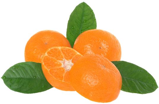 Ripe tangerines on a white background