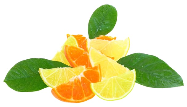 The lemon on a white background.