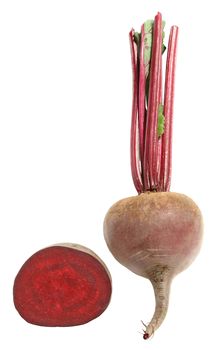 Beet on a white background