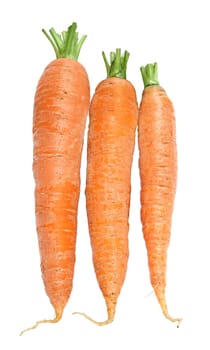 Carrots on a white background.