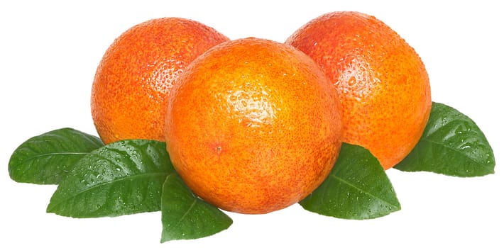Ripe orange on a white background