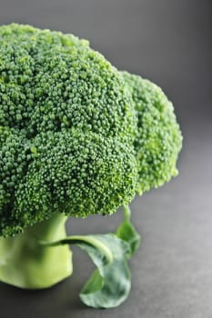 Fresh broccoli in closeup