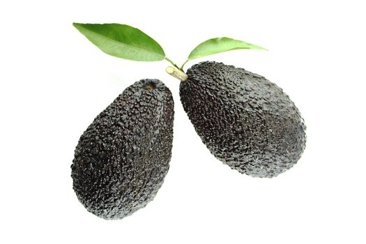 Black Ripe Avocados with leaves on white Background.