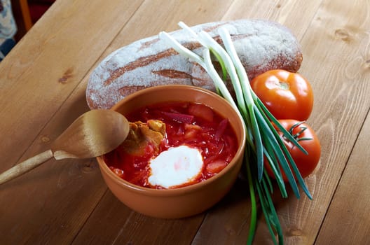 ukrainian and russian red-beet soup (borscht) with garlic and sour cream