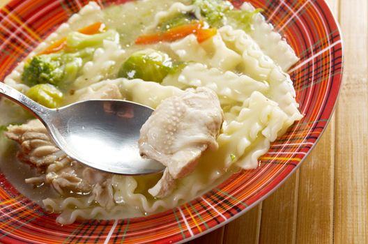 Chicken homemade  soup with noodle and vegetables