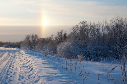 Road in a countryside in sunny winter rainbow day.Frozen trees in snowy field