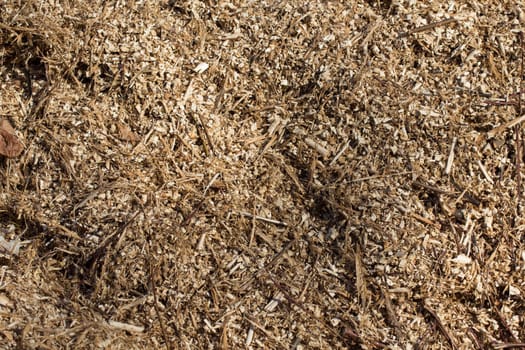 Picture of a heap of sawdust