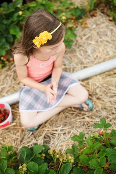 Cute little girl picking strawberries