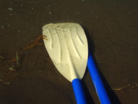 Close up of the canoe paddles.