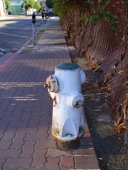 Close up of a fire hydrant on a street.