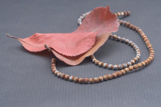 Rusty metal jewelry for women is based on a dark background, along with autumn leaves