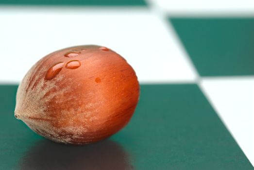 One hazelnut lies on the chessboard