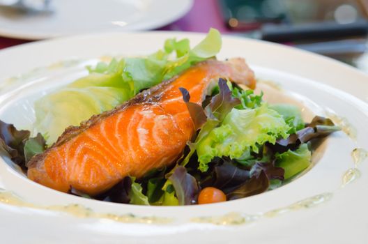 roasted  salmon and fresh lettuce , vegetable salad