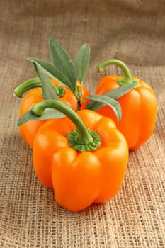 Orange sweet pepper with leaves on a Sackcloth background
