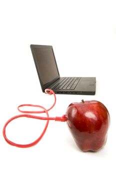 Red Apple connected to a laptop with an ethernet cable