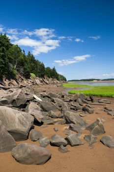 The shoreline of the Bay of Fundy, New Brunswick, Canada