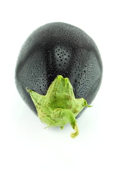 fresh eggplant vegetable with water drops on white background .