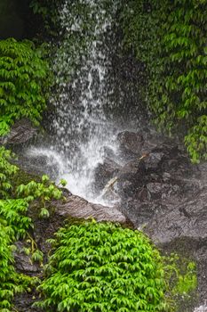 Falls in jungle on island Bali