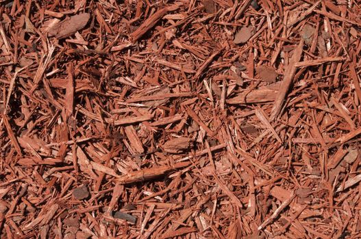 Red cedar wood chips background