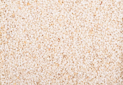 Sesame dry seeds background with detail closeup