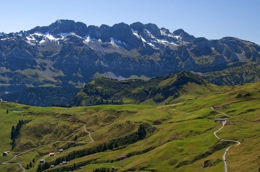 green alpine meadows on the background of the Swiss Alps