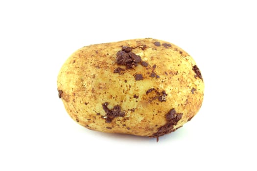 potatoes on the white background