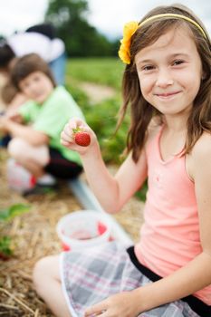 Cute little girl picking strawberries