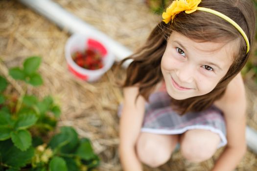 Cute little girl picking strawberries