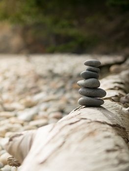 Pile of rocks on a fallen tree