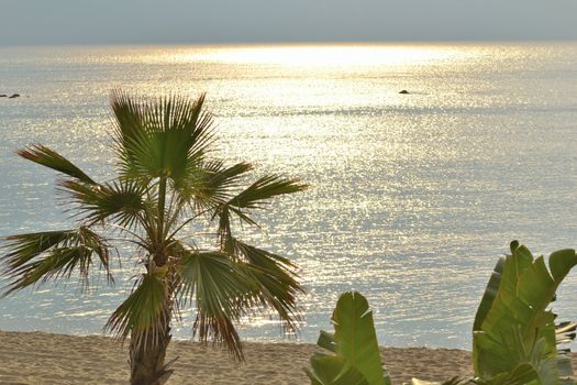 Sunrise over the beaches of Benalm