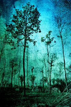 Image of trees in blue tones