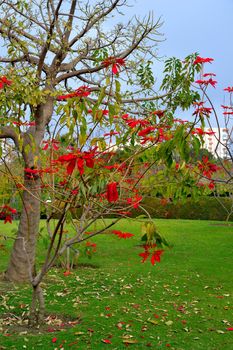 Park de las Palomas, located in Benalmadena