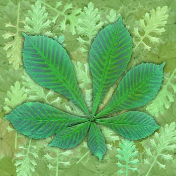 Abstract natural background, green painting leaves of plants