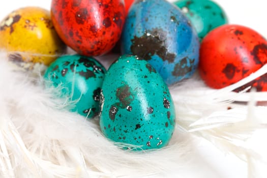 quail easter eggs on the white feathers 