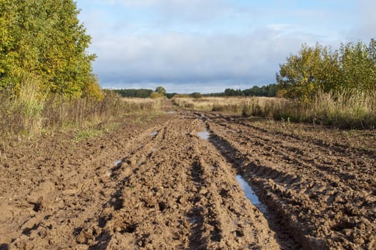 Country dirt road after the rain, the clouds on the horizon