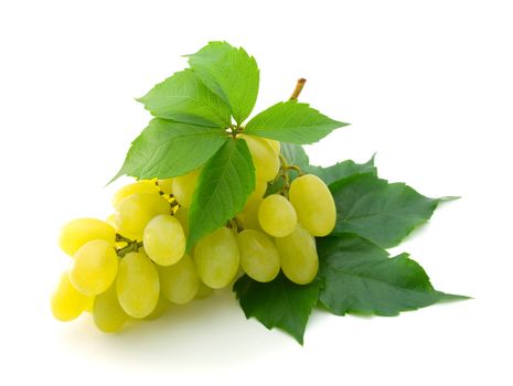 bunch of fresh grapes with leaf isolated on white