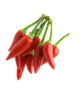 Bunch of Red hot chili pepper 