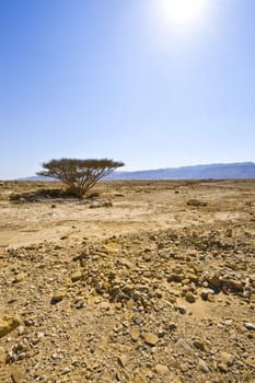 Big Stones in Sand Hills of Samaria, Israel