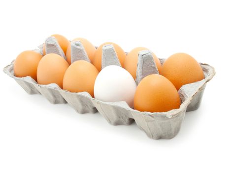 eggs in a carton on white background