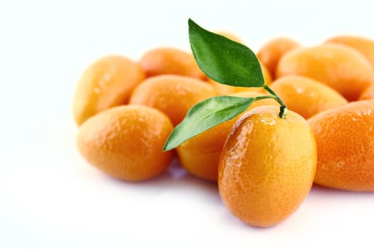 Sweet Small Orange Fruit with leaves.