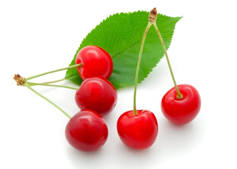 cherry with a green leaf on white background.