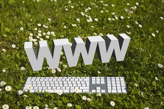 Internet WWW symbol and modern keyboard on green grass in garden