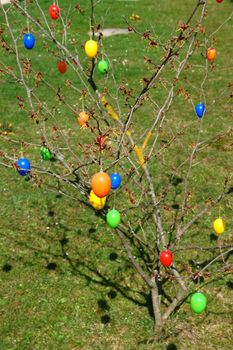 Eastertree with colourful eggs outside in the meadow