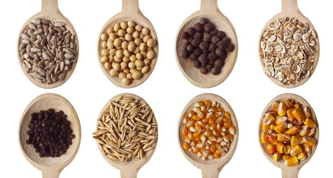 Different type of seeds on wooden spoon