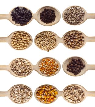 Different type of seeds on wooden spoon