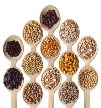 Different type of seeds on wooden spoon