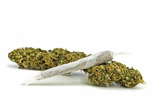 Marihuana on a white background
